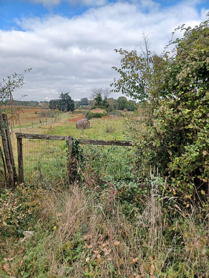 0 , 0 ,0,Terreno,In vendita,0,1083 0 , 0 ,0,Terreno,In vendita,0,1083